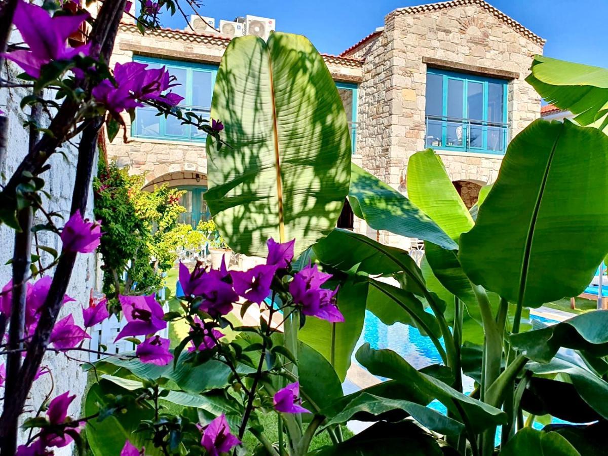 Windmill Alacati Exterior photo